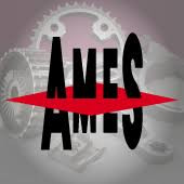 AMES (bujes)